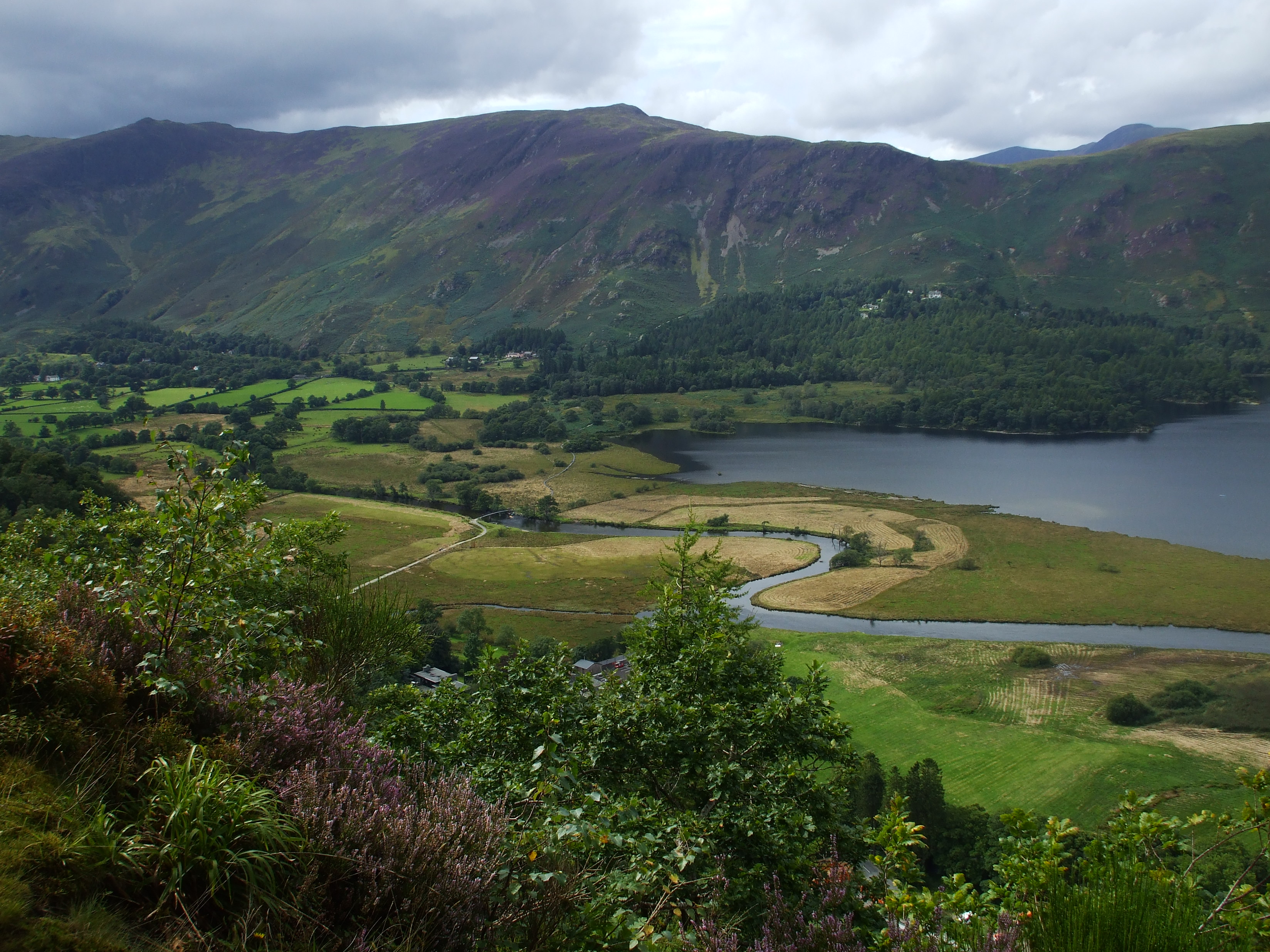 Fortress of Solitude