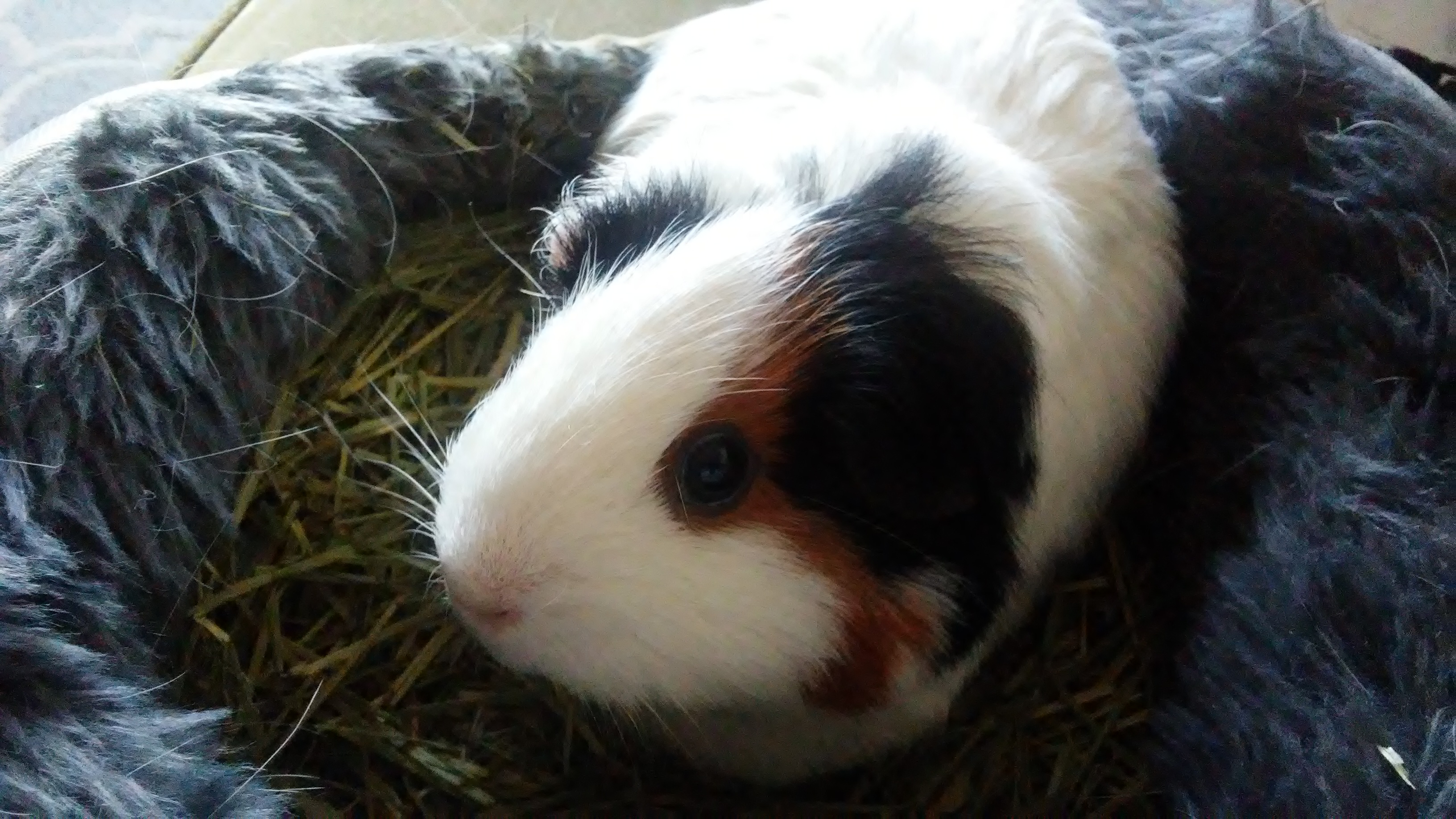 Poem: Not That You’ve Gone