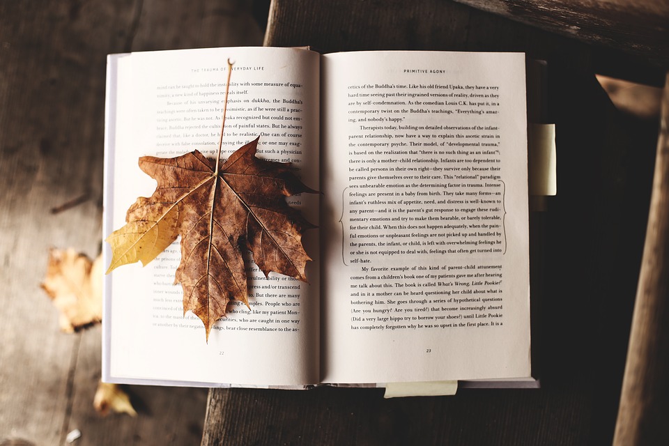Books To “Fall” Over