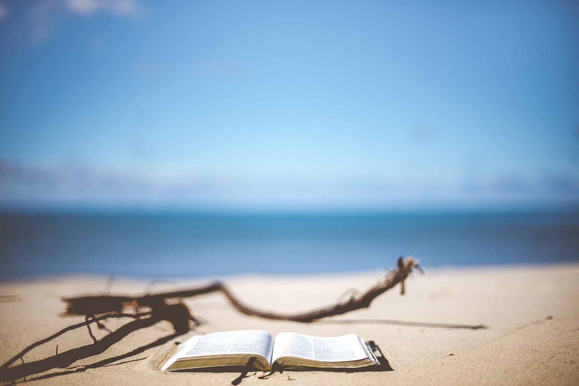 Summer Reads For An “Indoor” Summer: Adult Fiction